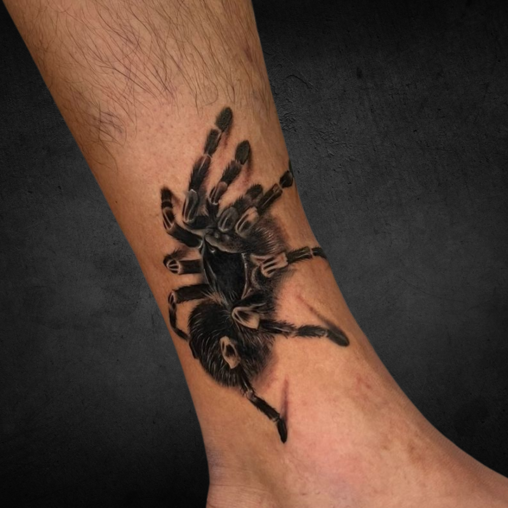 Progetto senza titolo - 2024-08-08T180520.469